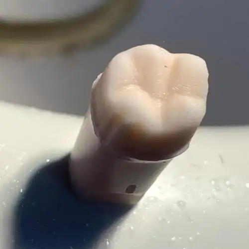 口助实操备牙and二类洞