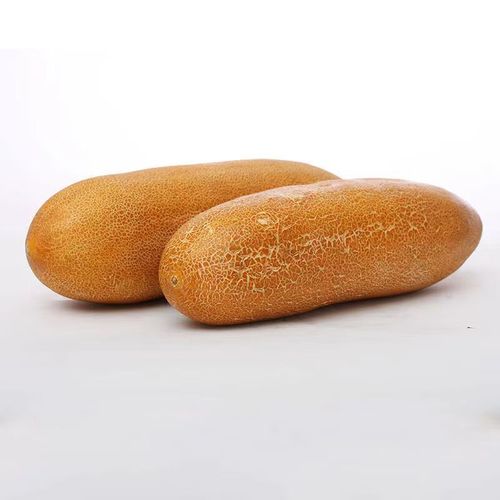 有坏包赔东北老黄瓜种新鲜黄皮老黄瓜麻皮黄瓜黄麻农家蔬菜 老黄瓜 4