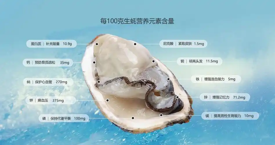 海蛎营养价值 海蛎营养价值和生蚝一样吗