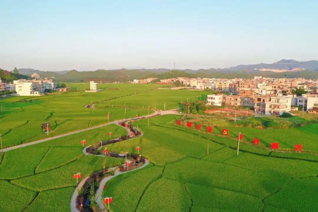 破难在行动‖五华县龙村镇湖中村妇联:凝聚执委力量,助力乡村振兴