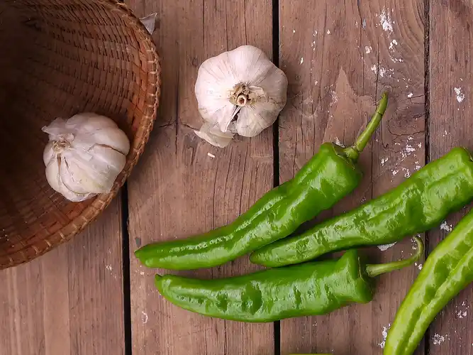 青椒和肉这样配,夏天的下饭王,有它在吃饭超极香,每次吃一大碗
