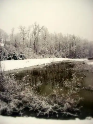 the dingy pond behind our old house | flickr – 相片分享!