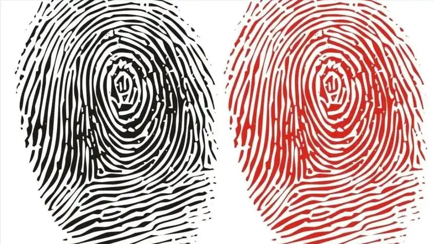 一斗穷二斗富是真的吗中科院发现斗和簸箕的基因奥秘