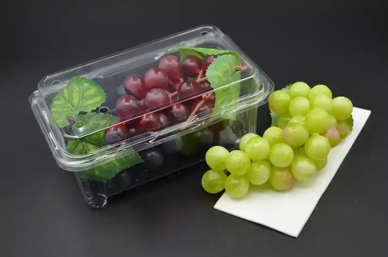 一次性水果盒打孔车厘子pet圣女果草莓盒一斤装龙眼塑料保鲜盒