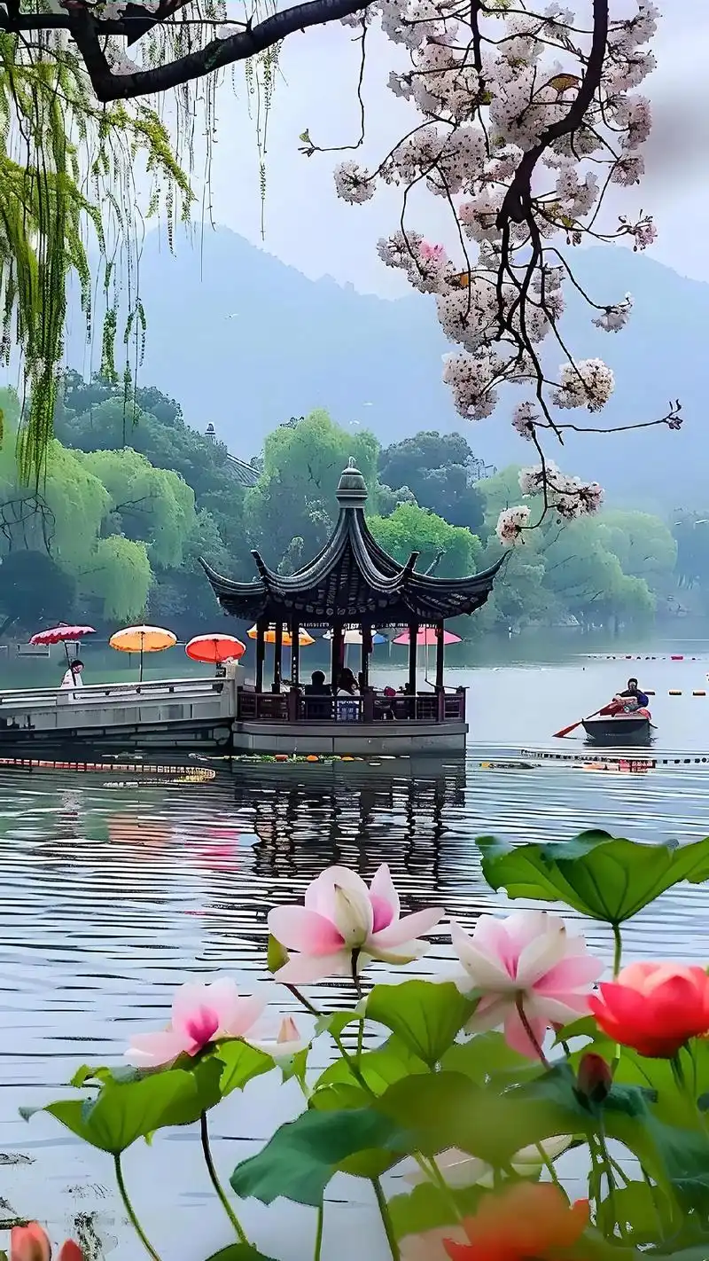 抖音创作者广告分成计划 #杭州西湖初春美景 杭州西湖初春时