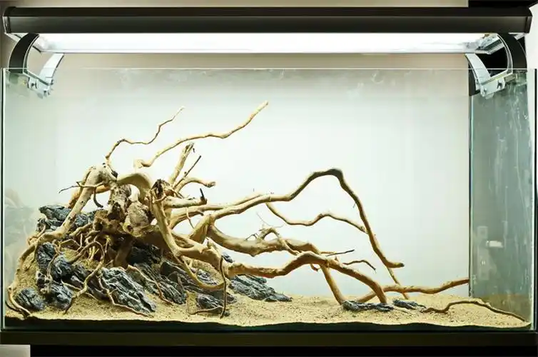 杜鹃根枝条微景观须根细枝迷你鱼缸南美缸树枝沉木造景藤条龙须根