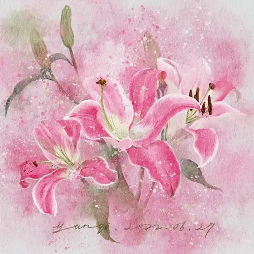 水彩百合ipad水彩花卉