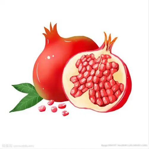 石榴设计图__广告设计_广告设计_设计图库_昵图网nipic.com