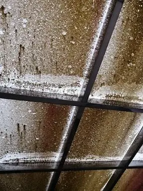 找专业清理玻璃棚上的灰尘