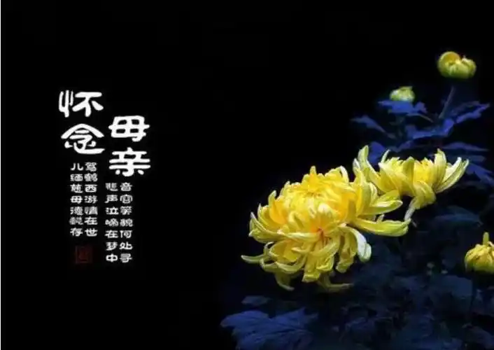 1死去何所道,托体同山阿.2怀念我的母亲!愿她老人家天堂快乐!