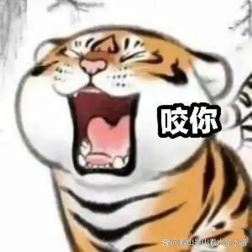 可爱的小老虎系列表情包