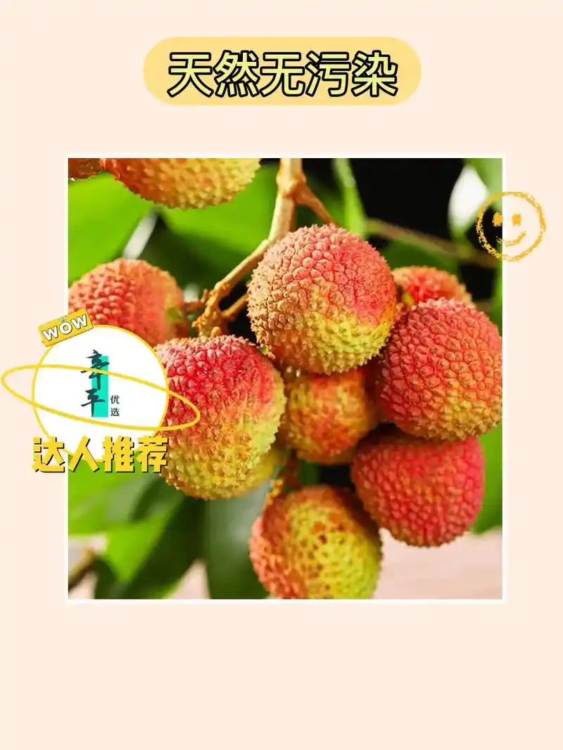 91果王笑荔枝,清甜多汁,开吃了!海