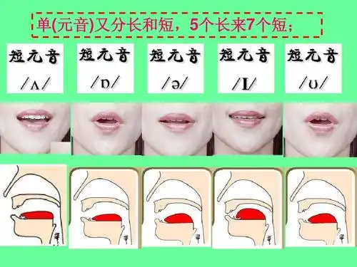 (三)英语音标 ---口型直观训练ppt