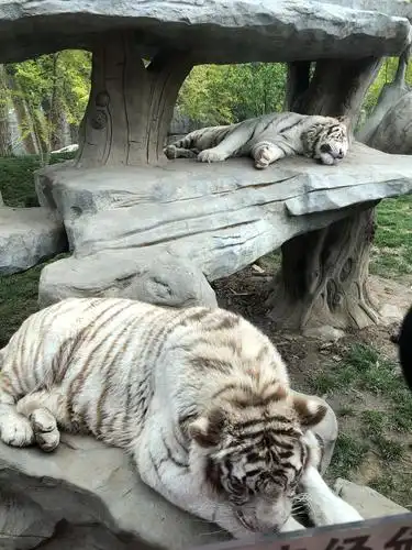 北京野生动物园游记