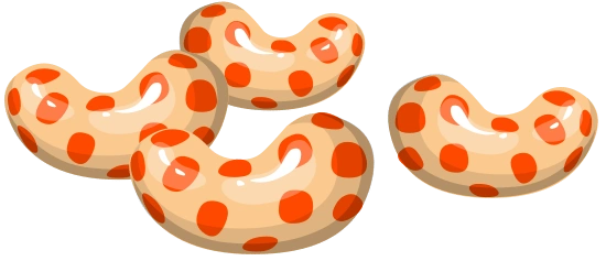 jellybeansillustration