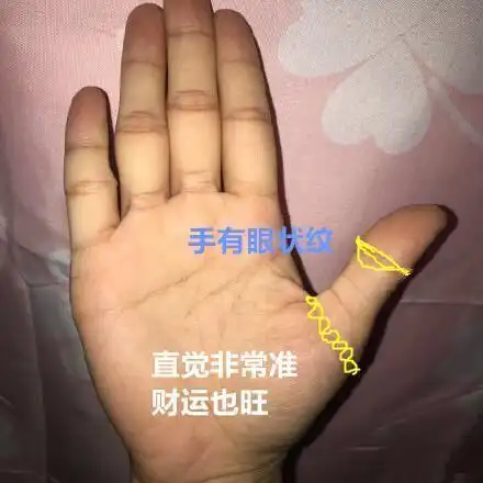 命中必定大富大贵的手相,婚后事业飞黄腾达,日子会越