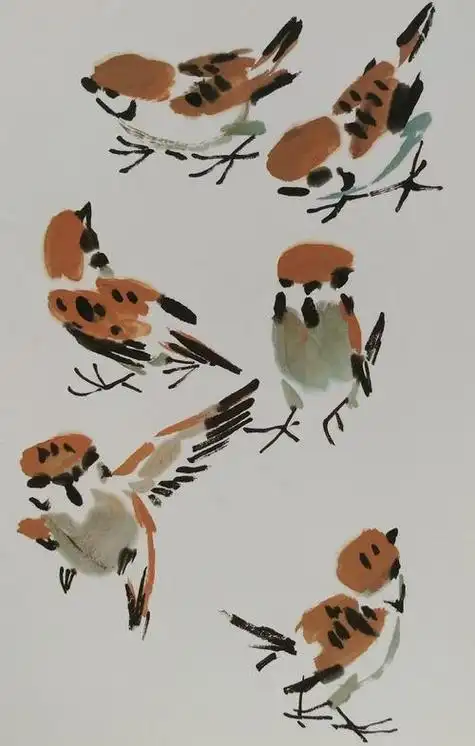 麻雀的画法麻雀的画法简笔