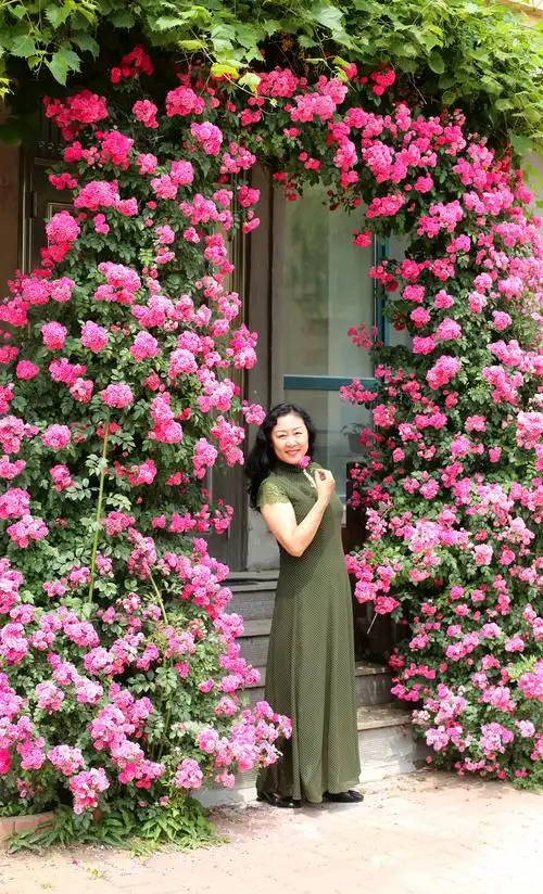 三位摄影师开始工作了,换服装,摆pose,一会花丛,一会丛林,忙的不亦