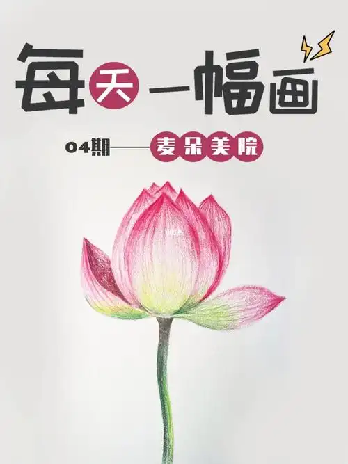 彩铅花卉彩铅手绘荷花视频教程