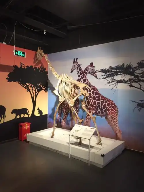 2023生命奥秘博物馆游玩攻略,博物馆位置在天府广场地库一...【去哪儿