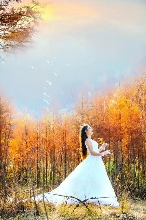 人像摄影组图:美若黎明,如果遇见你