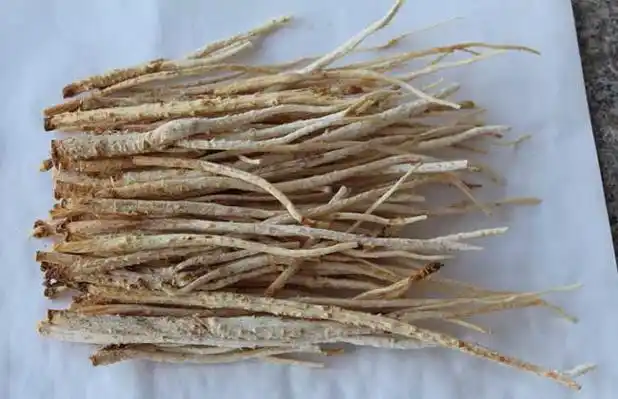 沙参的功效与作用及食用方法(2)