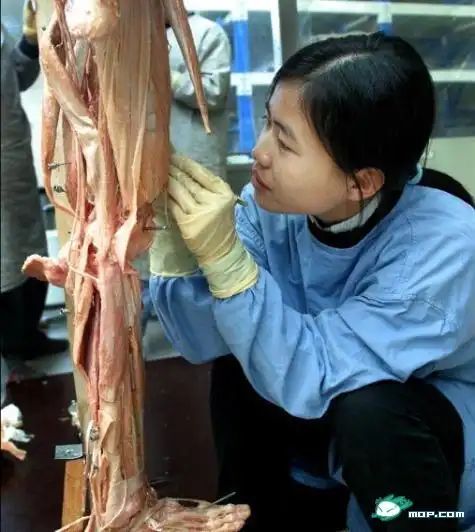 大连惊现尸体加工厂生命终结但人体标本却可永久保留图