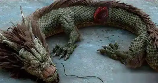 一男子抓到一只龙有图有真相世界真有龙吗