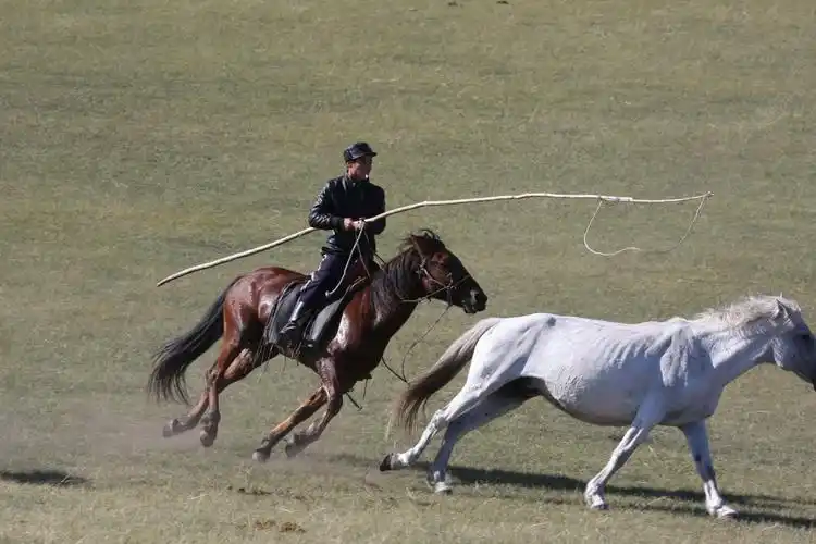 套马杆～蒙古民族的骄傲
