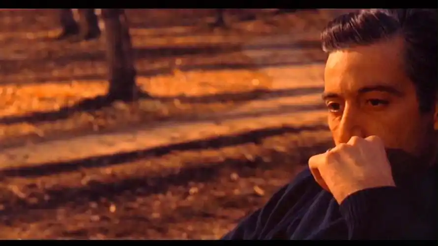 教父2:黑帮史诗,豆瓣高分电影