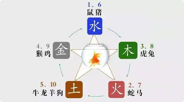 催财有哪些分类