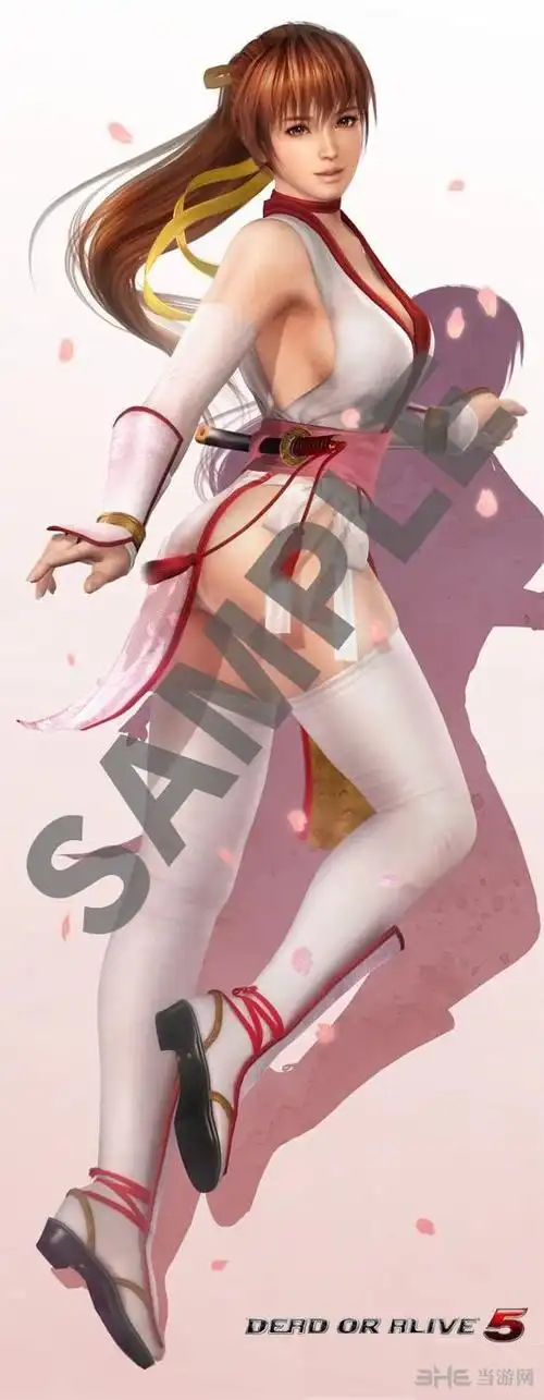 霞(kasumi),是日本格斗游戏《 a target="_blank" href="/item/死或生