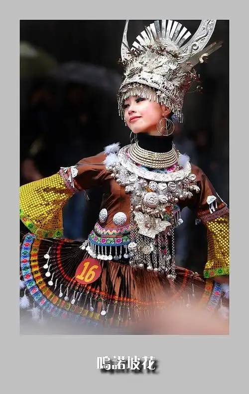 民族的,世界的——苗族坡花