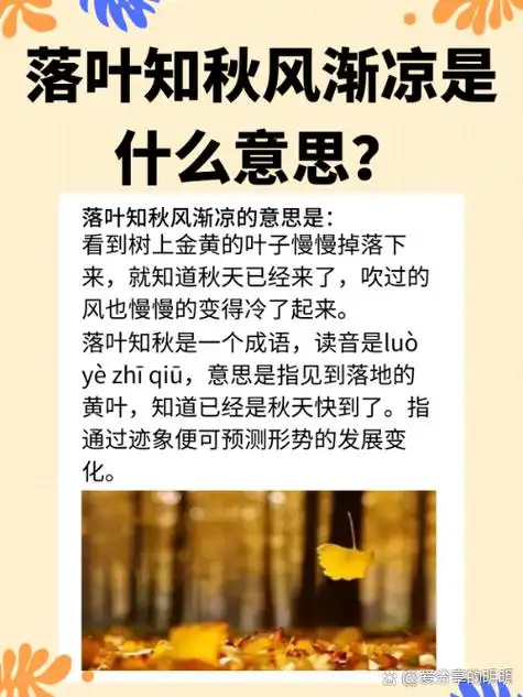 落叶知秋风渐凉的意思是: