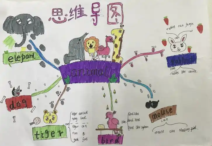 【课题动态02】乐学高效英语,巧画思维导图——记芦溪小学英语思维导