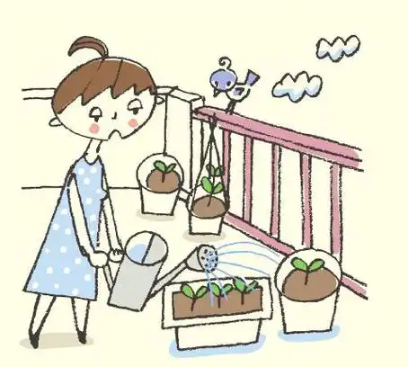阳台种菜怎么浇水