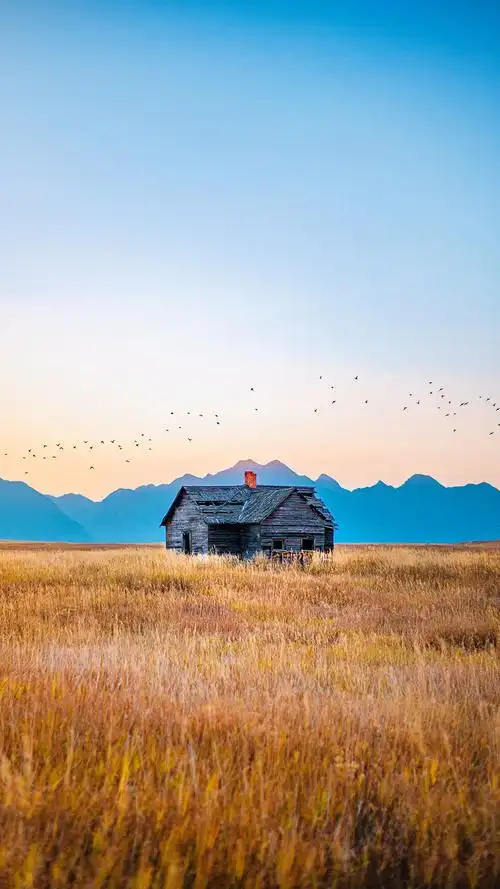 风景手机壁纸,高清无水印
