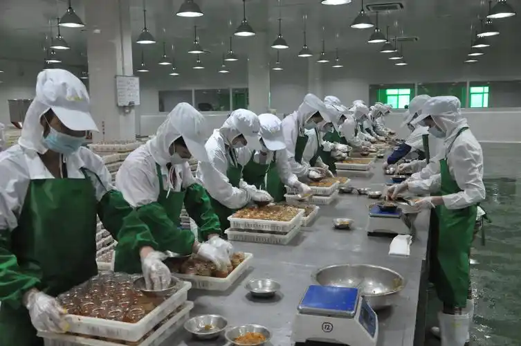 海产品罐头生产车间-企业风貌-东兴市怡诚食品开发有限公司-东兴市怡