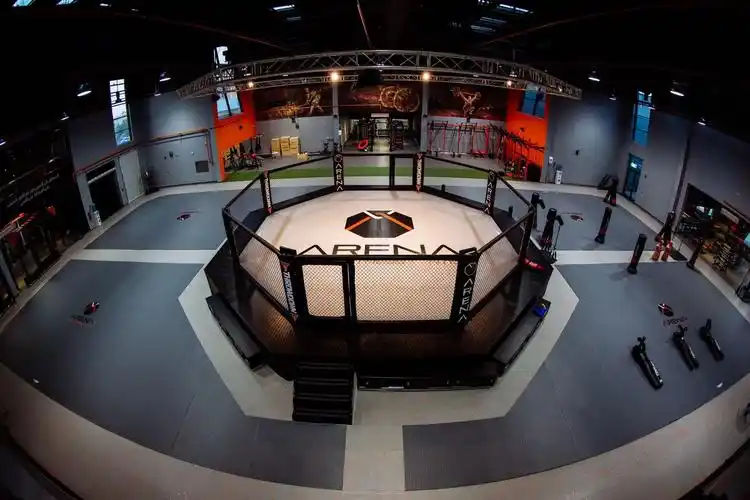 八角笼生产厂家