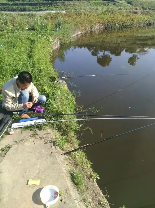午后,到乡下朋友亲戚的鱼塘钓鱼.