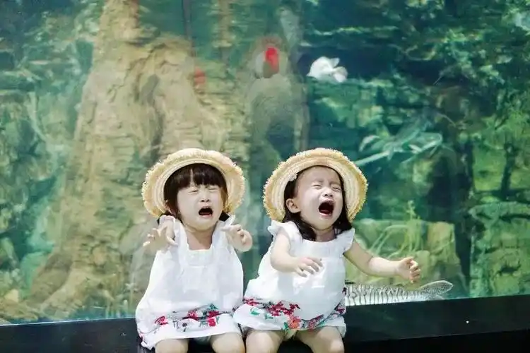 只是看着姐妹俩如此委屈的模样爸爸妈妈不管心里多生气总是被她们的