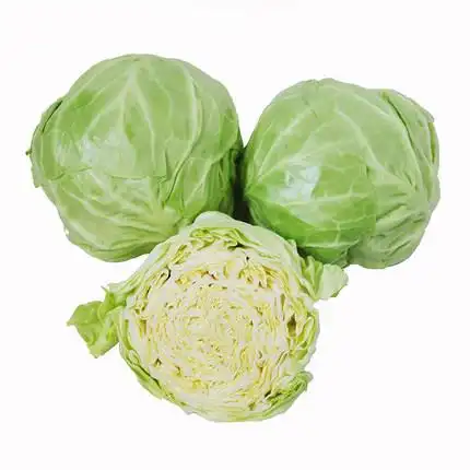 新鲜包菜5斤现摘现发卷心菜有机肥