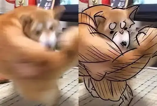 沙雕网友你们够了火爆全球的网红表情包竟被做成奇葩游戏