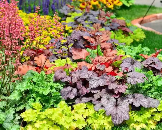 花境植物配置,给你意想不到的惊喜!