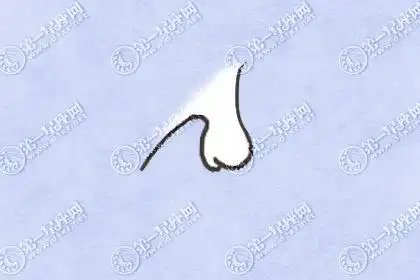 三种朝天鼻型的命运 男人鼻孔朝天的面相好吗