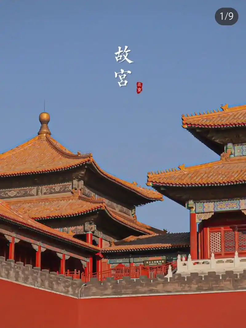 1午门→太和殿→中和殿→保和殿>乾清宫→慈宁宫→东 - 抖音
