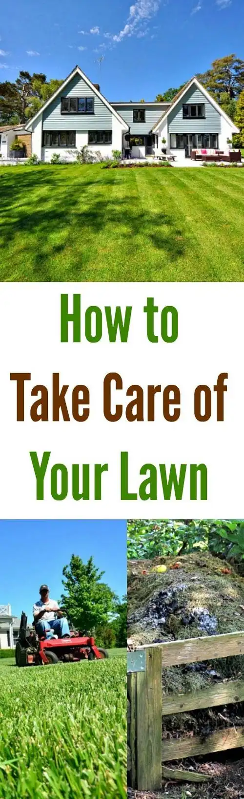 how to take care of your lawn
