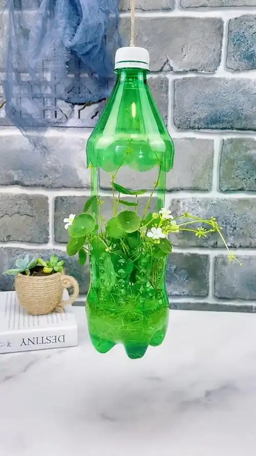 饮料瓶不要扔,做一个简单好看的吊篮花盆,快学起来吧a8好物节 %废物