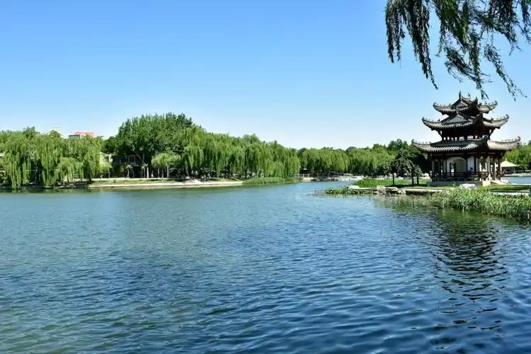 北京陶然亭夏天风景图片第4张