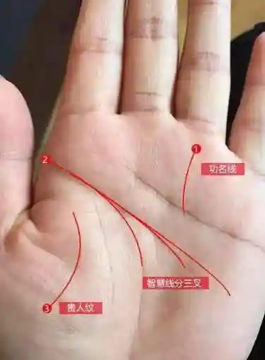 手相算命,川字掌的女人命好不好?